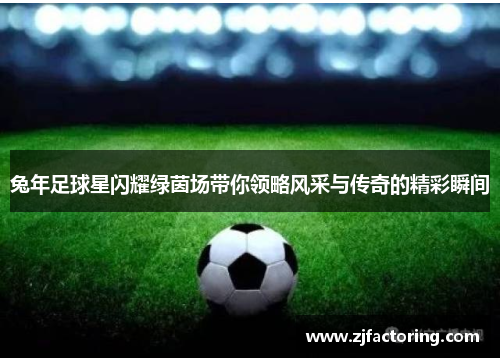兔年足球星闪耀绿茵场带你领略风采与传奇的精彩瞬间