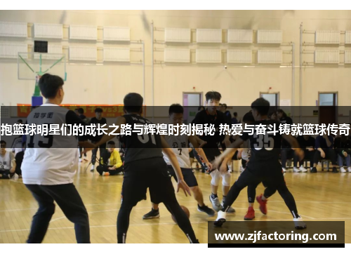抱篮球明星们的成长之路与辉煌时刻揭秘 热爱与奋斗铸就篮球传奇